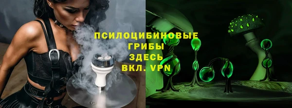 трава Карпинск