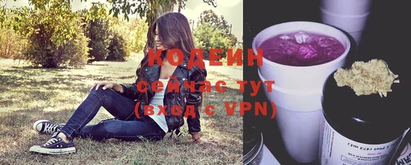 трава Карпинск