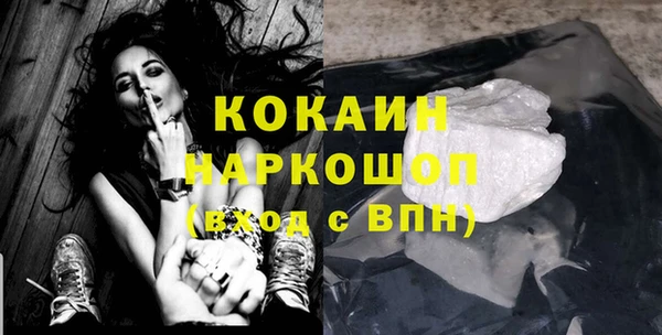 трава Карпинск