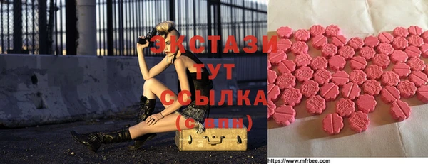 ECSTASY Бородино