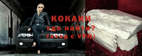 трава Карпинск