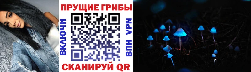 Псилоцибиновые грибы GOLDEN TEACHER  Уфа 